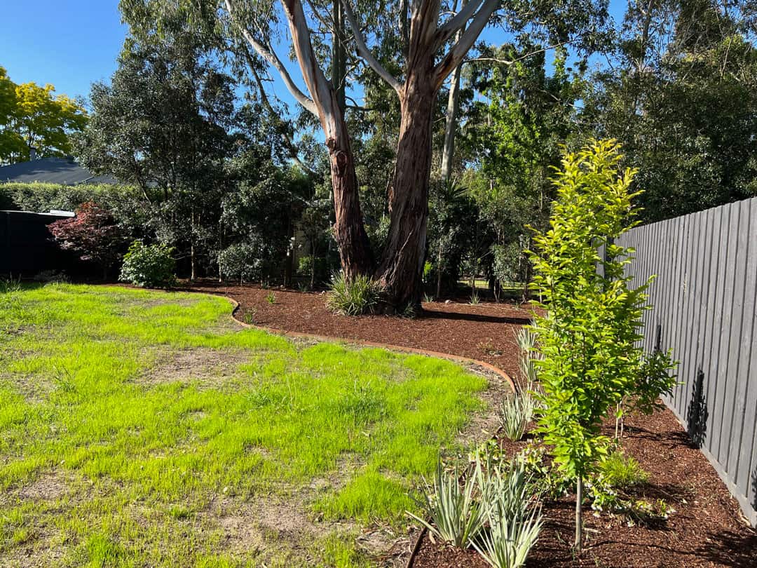 Grassed area and garden beds in Narre Warren North rear garden