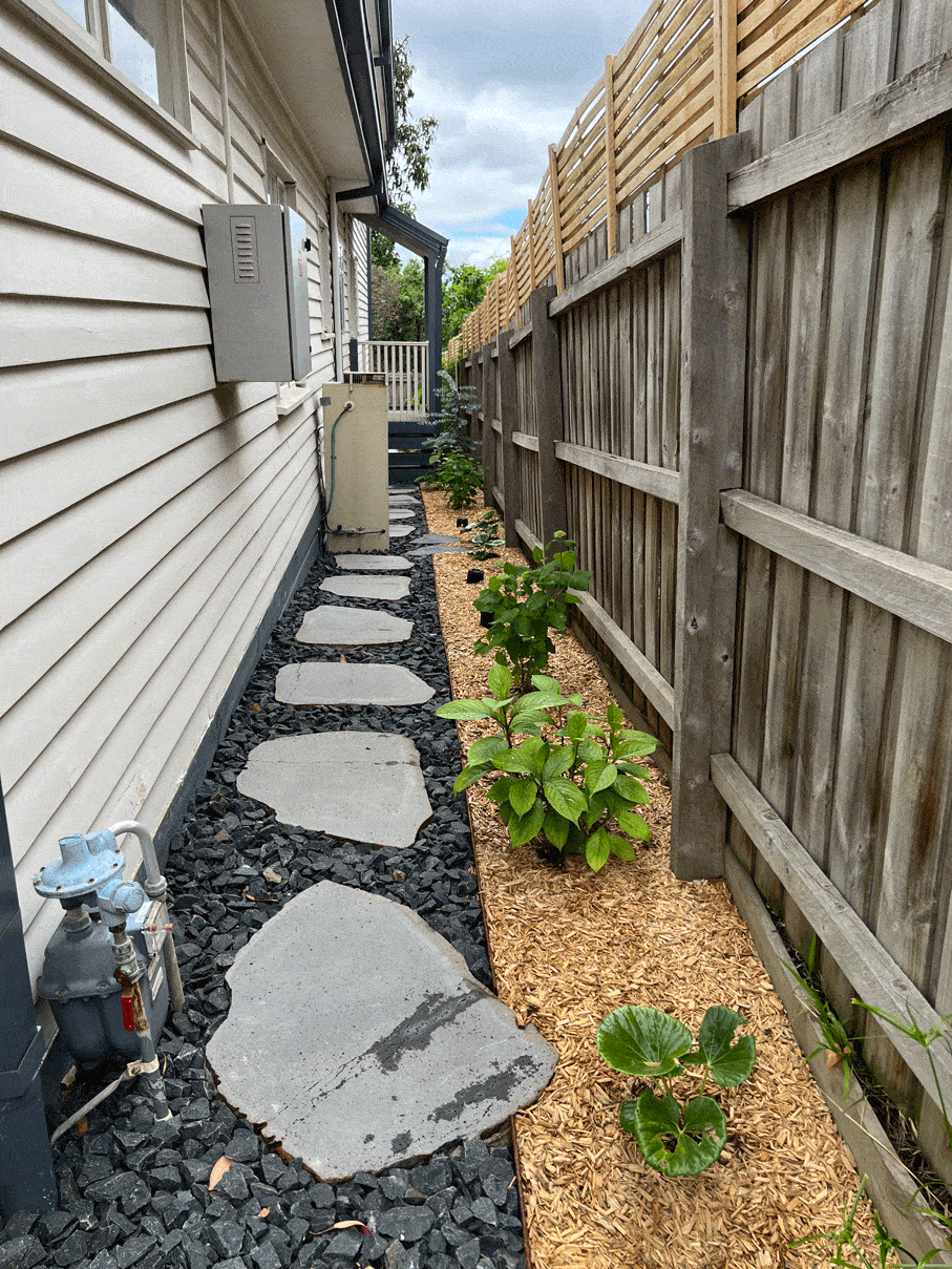 Side area of house in Nunawading garden design