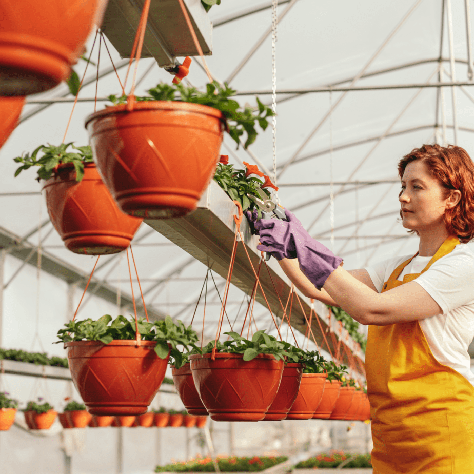 If you have the space grow your fruit and vegetables in containers in a green house