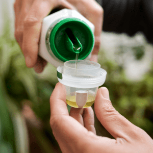 Use Liquid Fertiliser On Your Clivia PLants