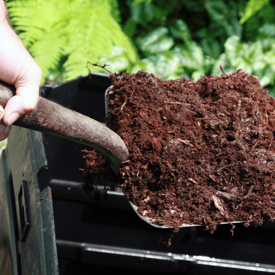 Assess the type of soil you have in your garden