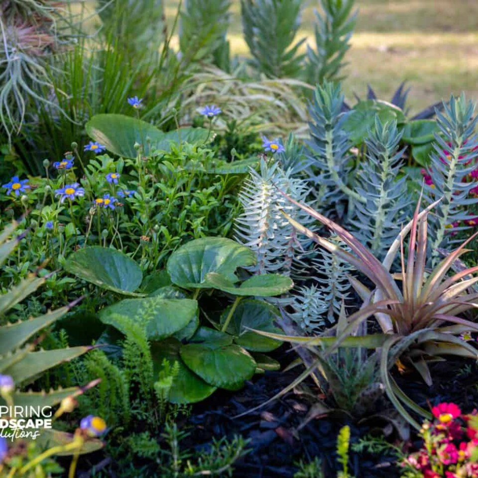 Image Not Found On Media Library