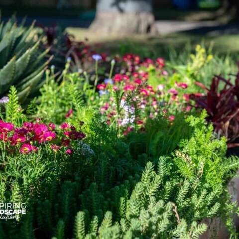 Image Not Found On Media Library