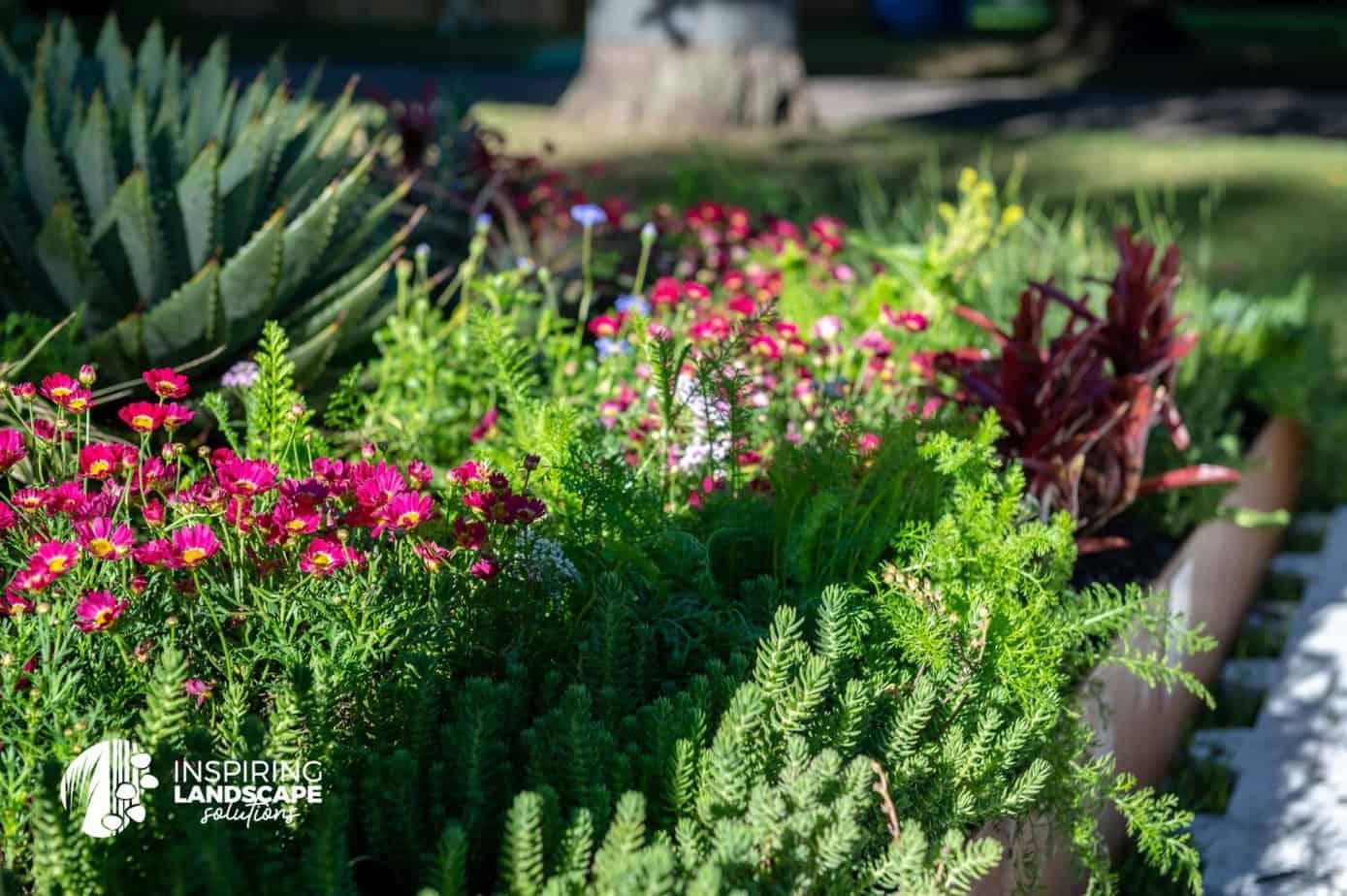 Textural and colourful planting