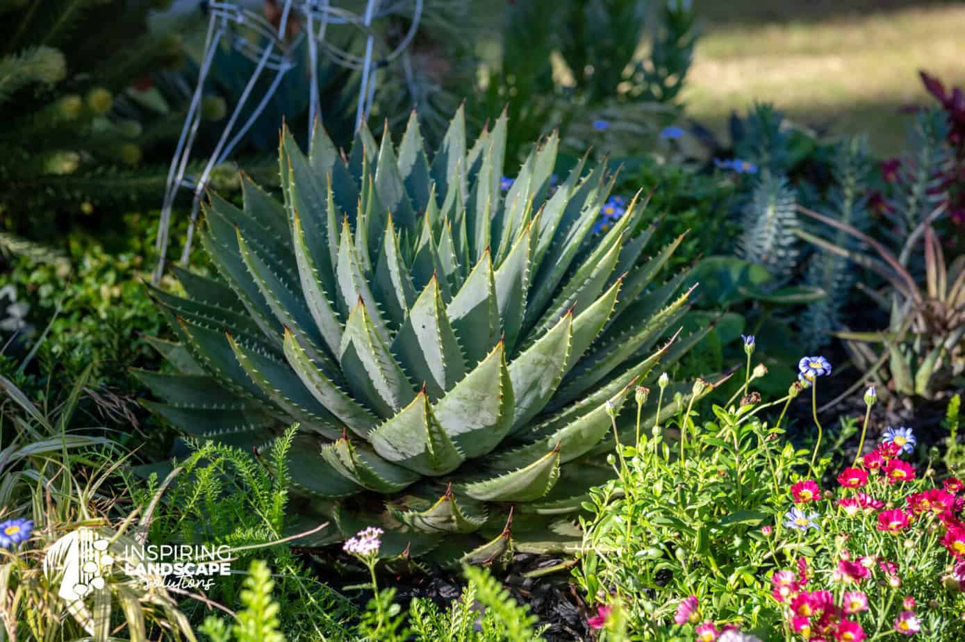 Textural contrast in gardens