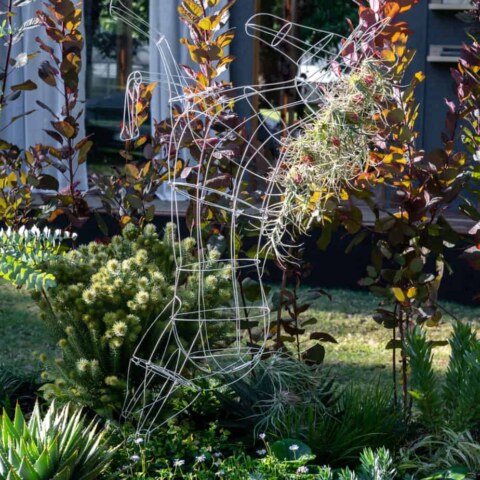 Image Not Found On Media Library