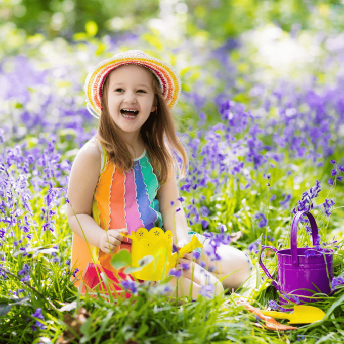 Bright Colours and Smells Are A Must For Sensory Gardens