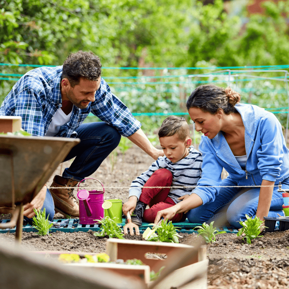 Family planting together and teaching their child about how plants and fruit grow in their backyard
