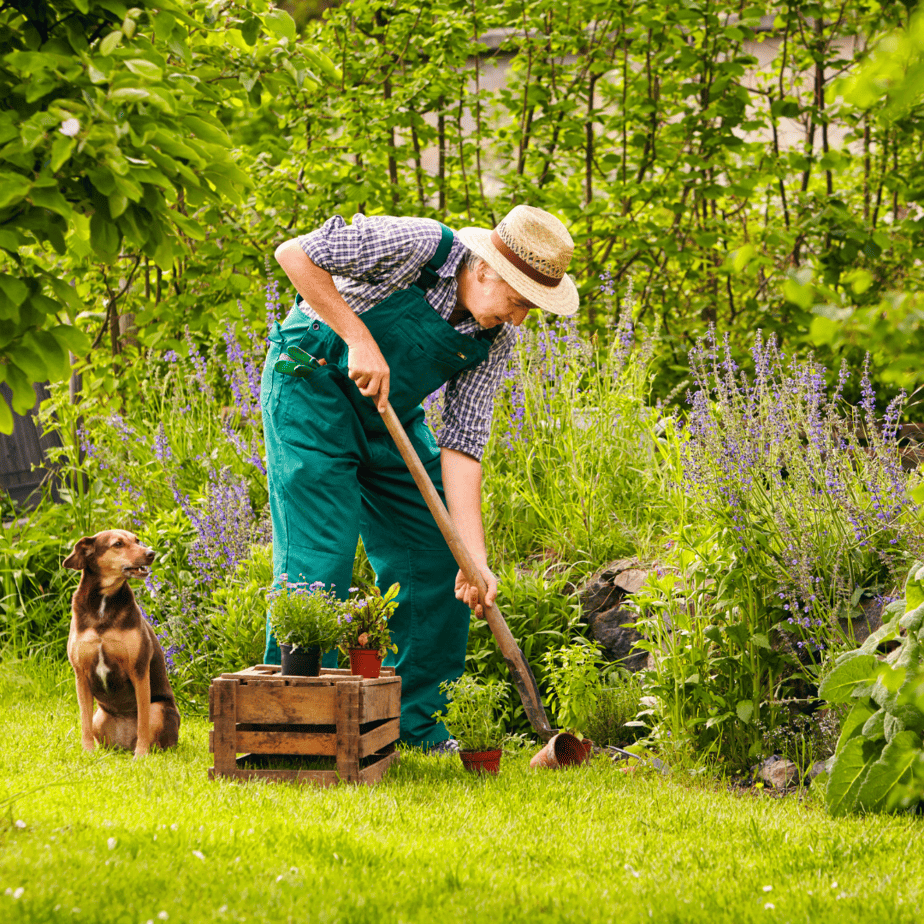 Maintenance is important in keeping up your garden style