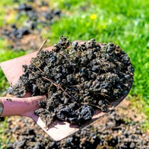 Use compost to increase the permeability of the soil