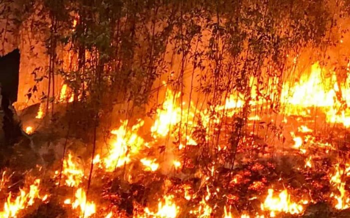 Fire tearing through dry bushland