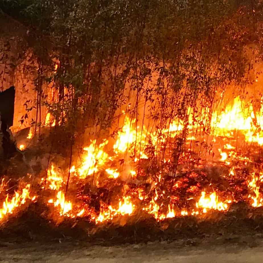 Fire tearing through dry bushland