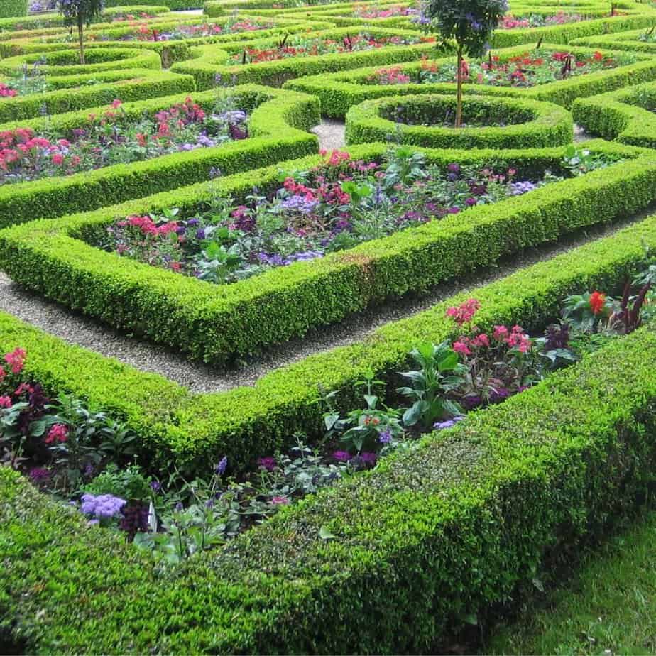Hedge Garde Maze