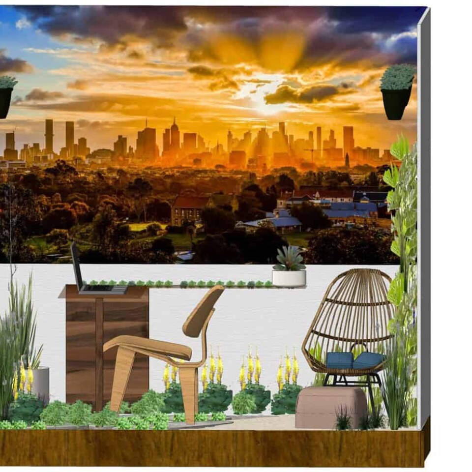 Image Not Found On Media Library