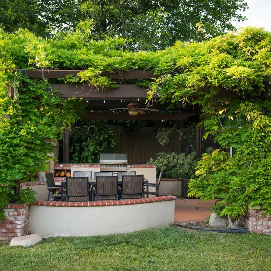 Multiple benefits of a pergola