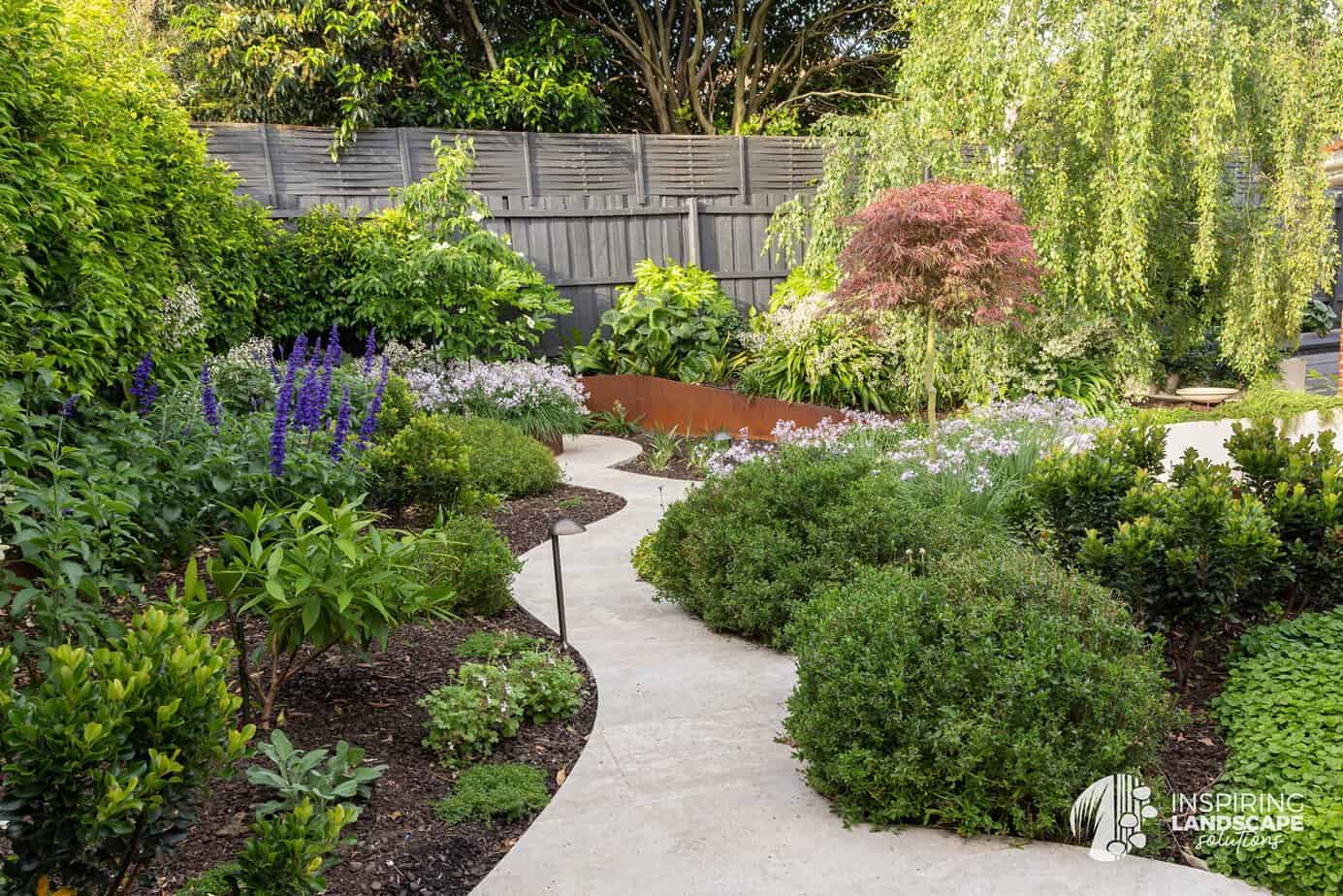 View of birch tree from garden seat in Berwick landscape design