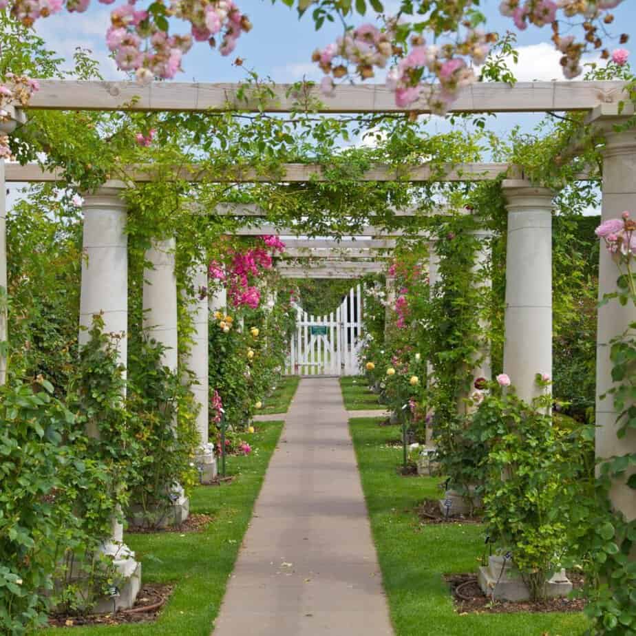 arbour surrounded by flowers and vines