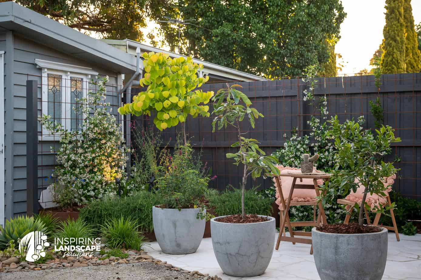 View of the trellised fenceline of the Brunswick East garden design