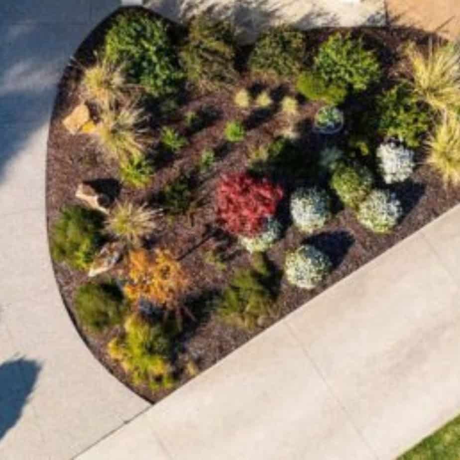 Aerial view of a landscaped garden with diverse plants and trees.