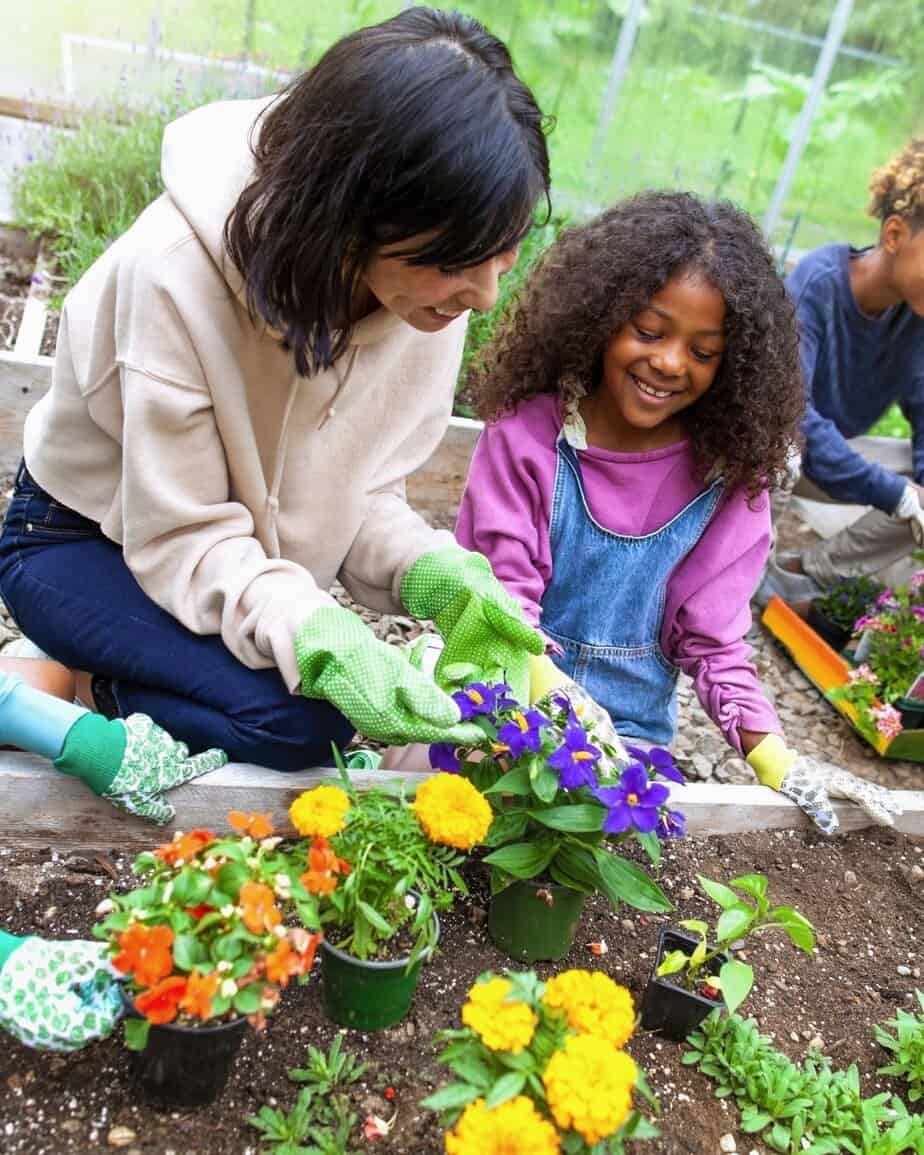 Family planting flowers in their garden